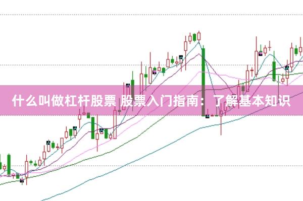 什么叫做杠杆股票 股票入门指南：了解基本知识