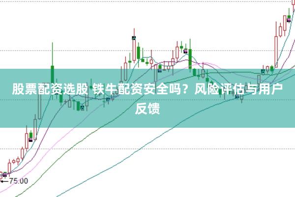 股票配资选股 铁牛配资安全吗？风险评估与用户反馈