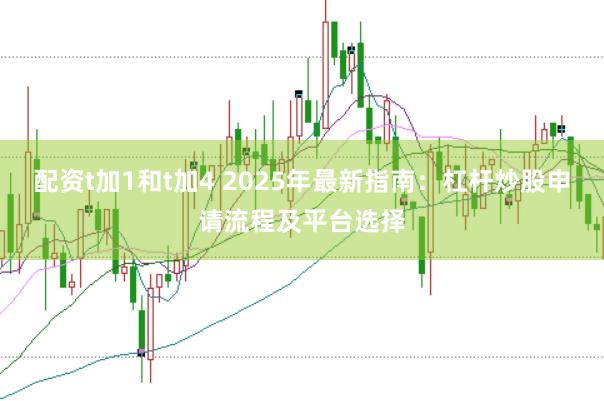 配资t加1和t加4 2025年最新指南：杠杆炒股申请流程及平台选择