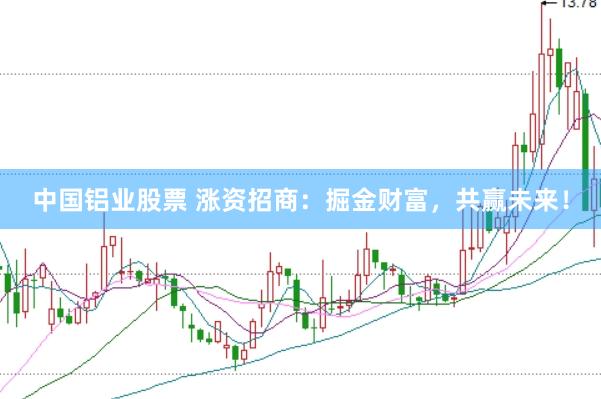 中国铝业股票 涨资招商：掘金财富，共赢未来！