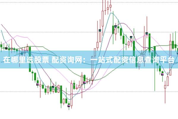 在哪里选股票 配资询网：一站式配资信息查询平台