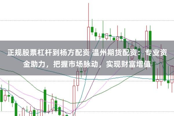 正规股票杠杆到杨方配资 温州期货配资：专业资金助力，把握市场脉动，实现财富增值