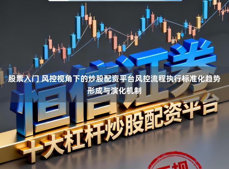 股票入门 风控视角下的炒股配资平台风控流程执行标准化趋势形成与演化机制