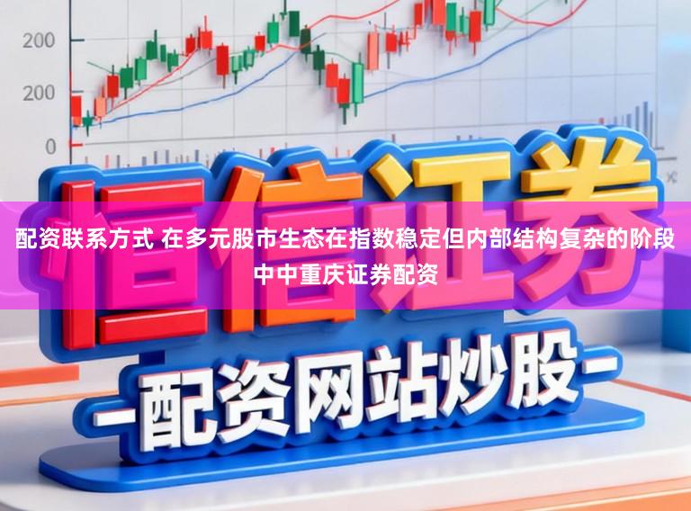 配资联系方式 在多元股市生态在指数稳定但内部结构复杂的阶段中中重庆证券配资