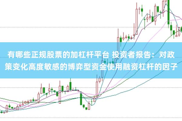 有哪些正规股票的加杠杆平台 投资者报告：对政策变化高度敏感的博弈型资金使用融资杠杆的因子
