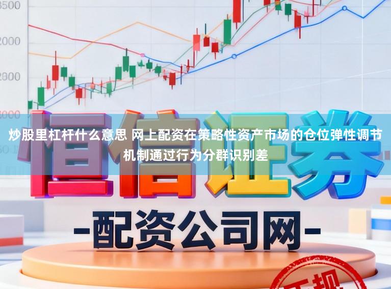 炒股里杠杆什么意思 网上配资在策略性资产市场的仓位弹性调节机制通过行为分群识别差