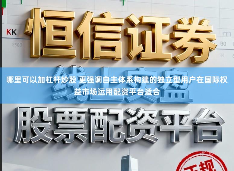 哪里可以加杠杆炒股 更强调自主体系构建的独立型用户在国际权益市场运用配资平台适合